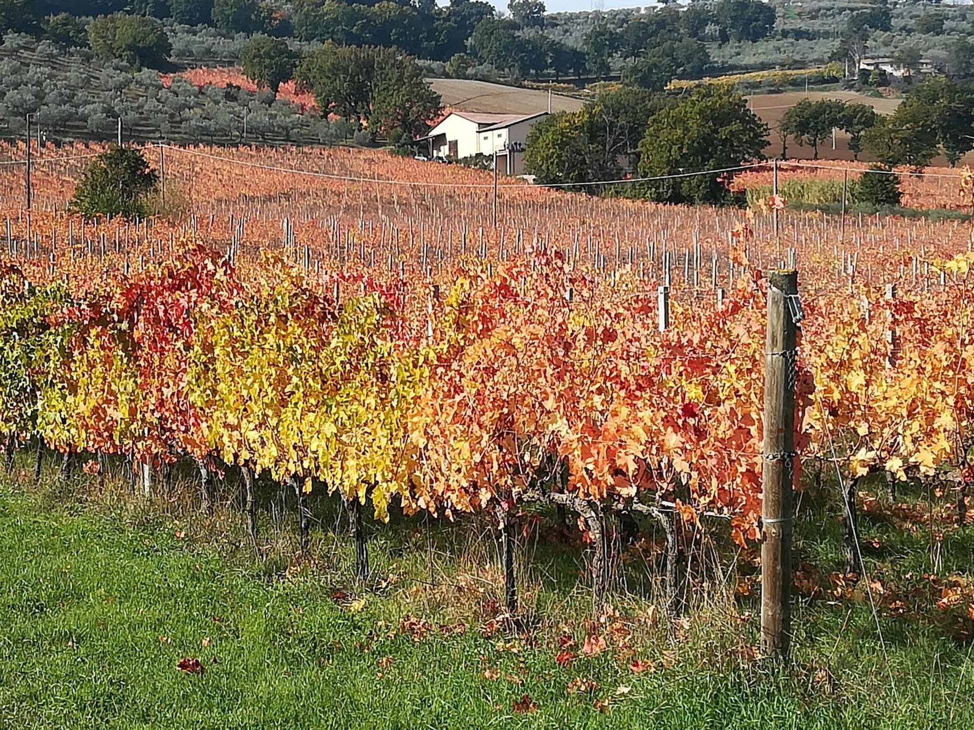 Antico Gioiello Umbro , Appartamento Con Terrazza Foligno Luaran gambar